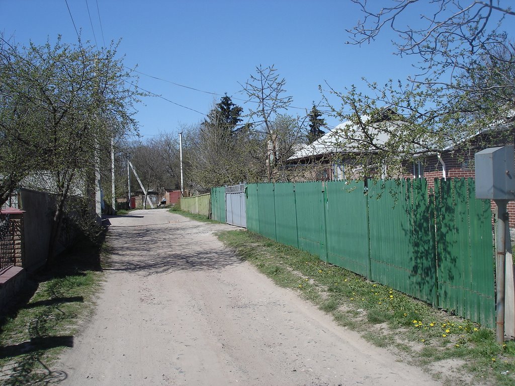 Pirogova Street, Жашков