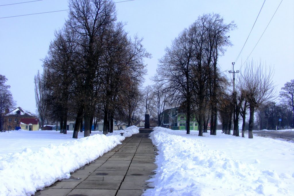 Площадь Шевченка, Жашков
