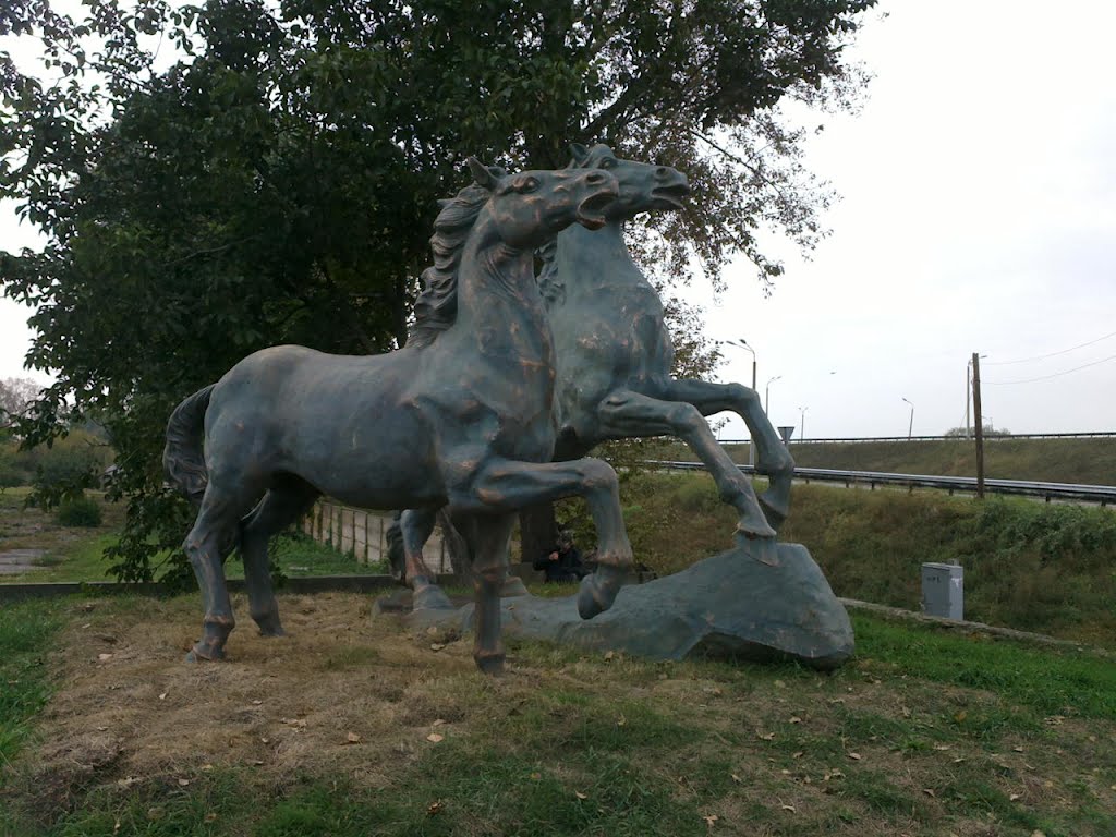 Horses monument, Жашков