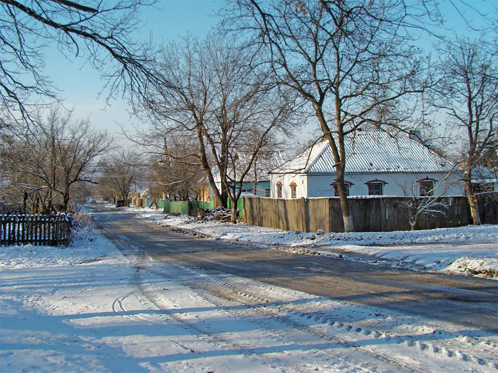 Зимова вулиця | Winter Street, Звенигородка