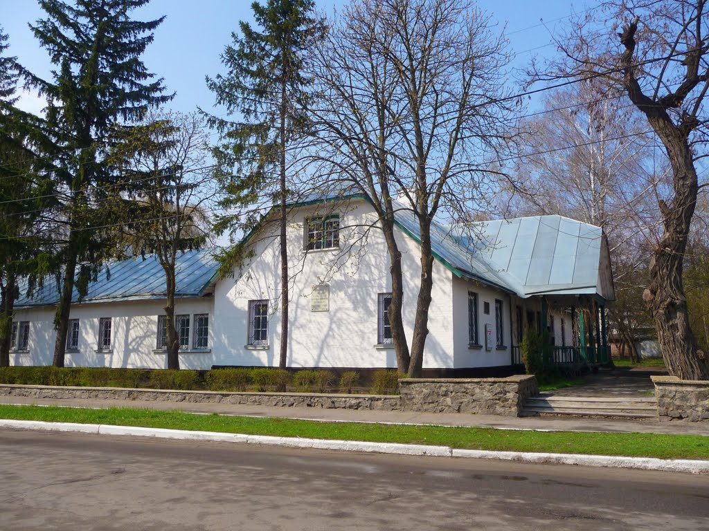 Kamensky District Historical Museum, Каменка