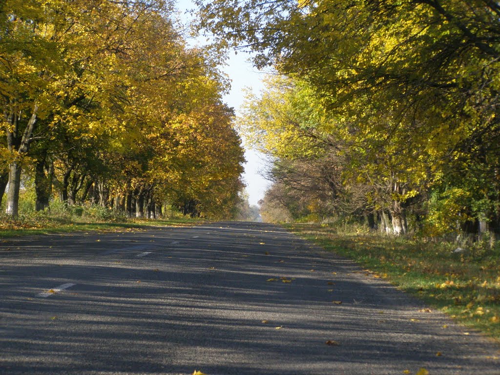 Осень, Катеринополь