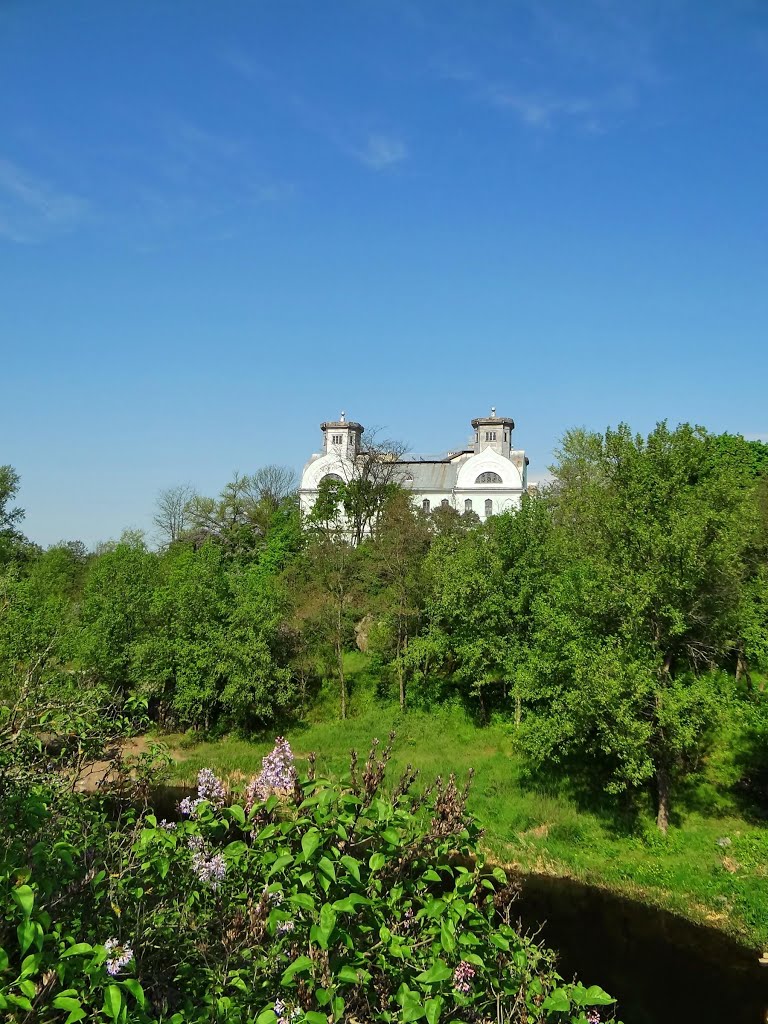 Корсунь - палац,  Korsun - palace of the family of Lopukhinykh-Demydovykh, Корсунь-Шевченковский