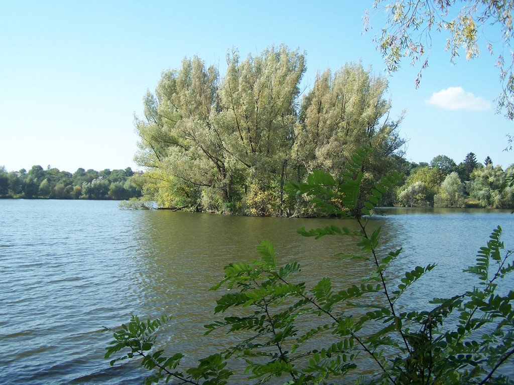 Острів на Центральному ставку. (Island on the Central pond.), Маньковка