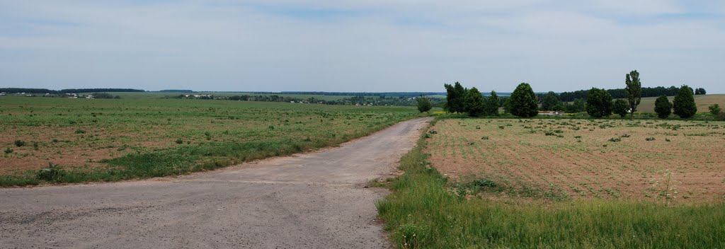 Панорама Маньківки, Маньковка
