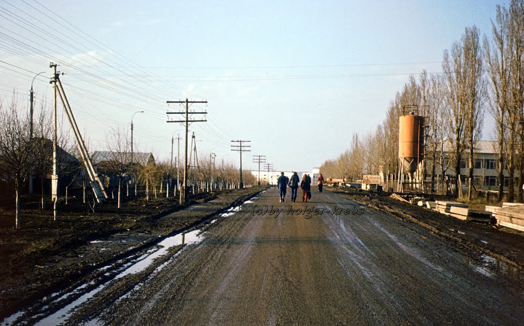 Straße Richtung Talnoje - Frühjahr 1978, Тальное