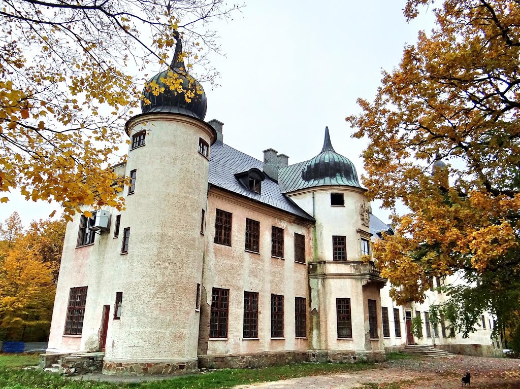 Тальне - палац Шувалових, Talne - palace, Тальное - дворец Шуваловых, 1903, Тальное