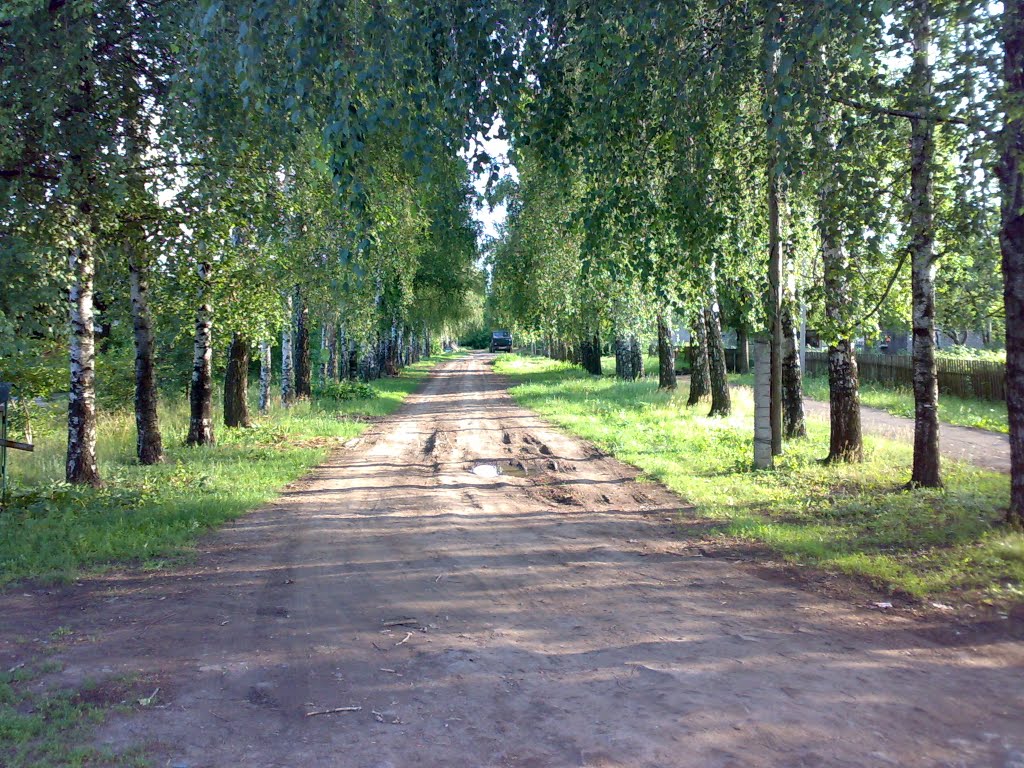 Вулиця Карбовського, Христиновка