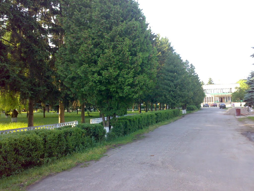 Паркова зона біля офісу ДПДГ "Христинівське", Христиновка