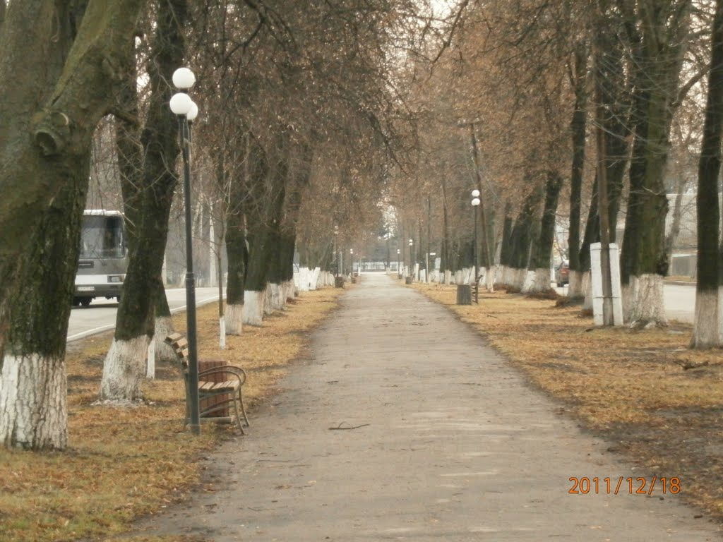 Вулиця 1-го Травня, Христиновка