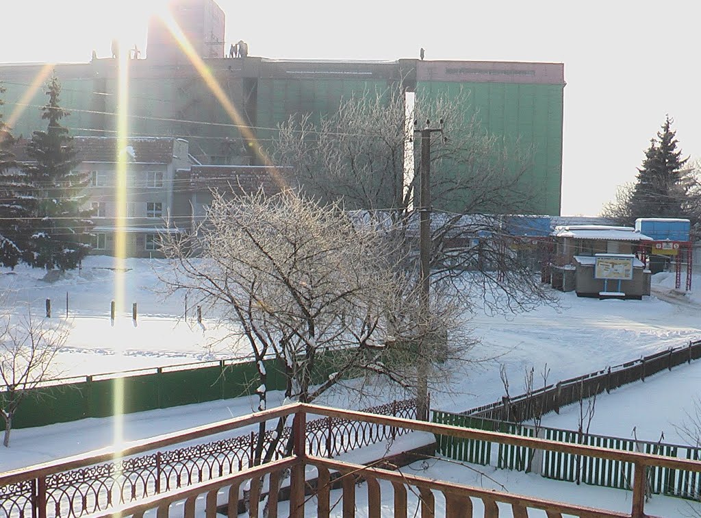 Зимнее утро, с видом на элеватор., Шпола