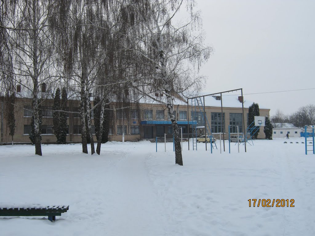 Школа №3, Шпола