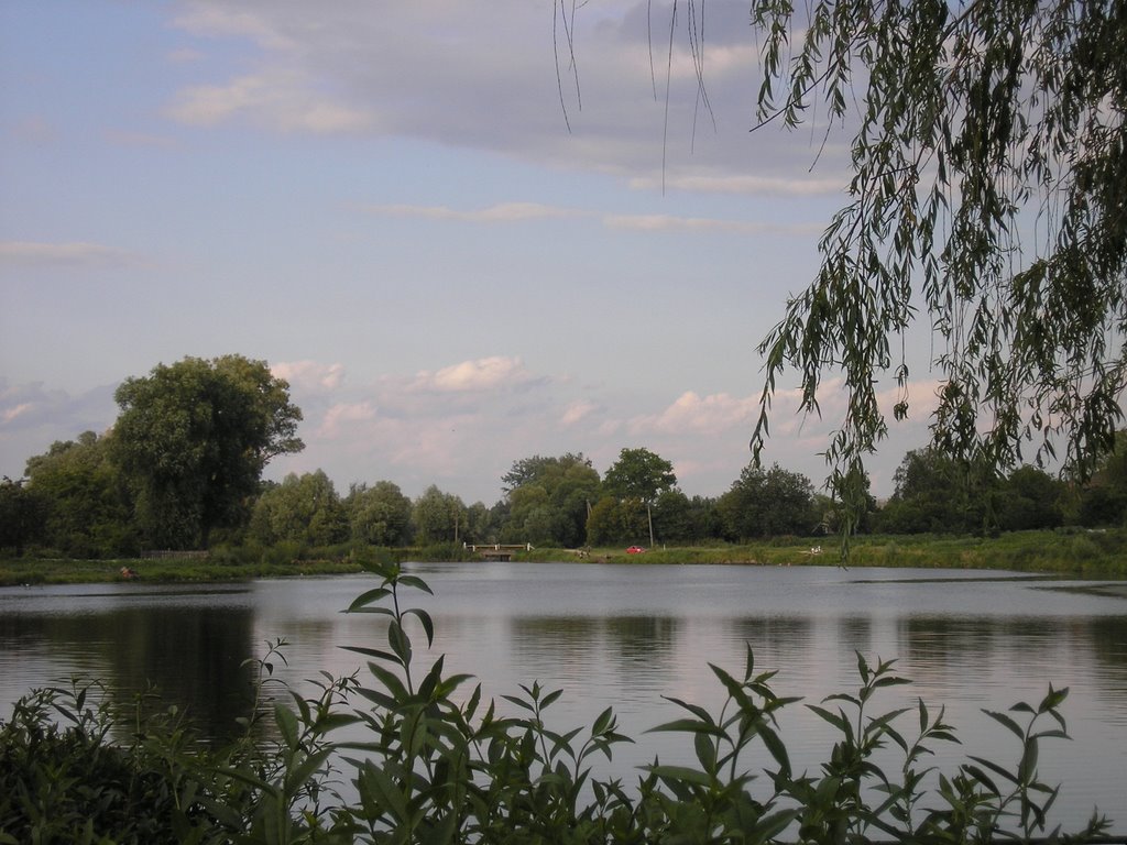 Річка "Бистриця", Бобровица