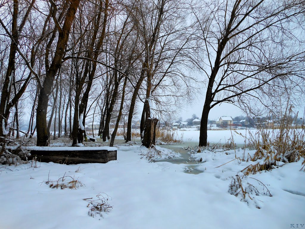 Река зимой, Борзна