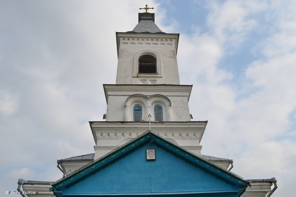 Вертиевка. Николаевская церковь. 1887 г. / Vertievka. Nicholas Church. 1887, Вертиевка