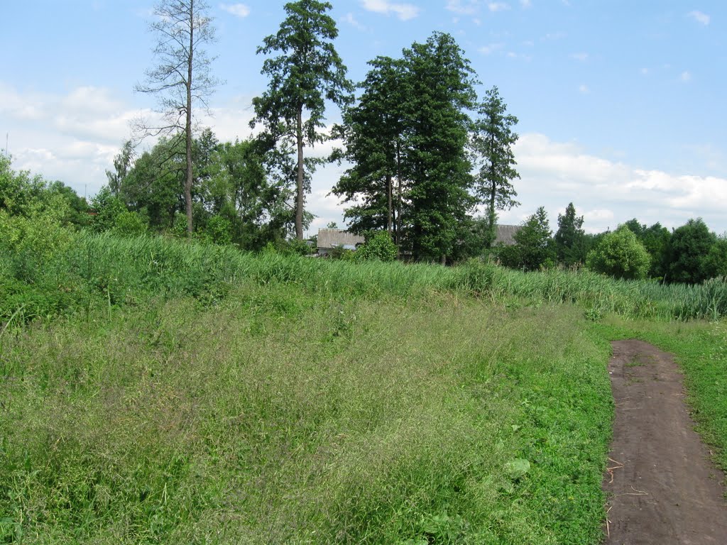 The path to the rivers edge, Городня