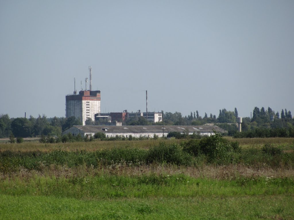 Комбикормовый завод, Городня