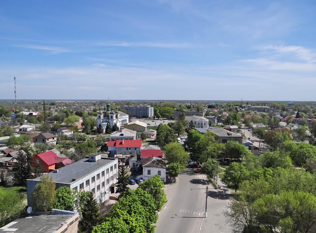 вид з дзвінниці на центр Козельця, view from bell tower, Козелец