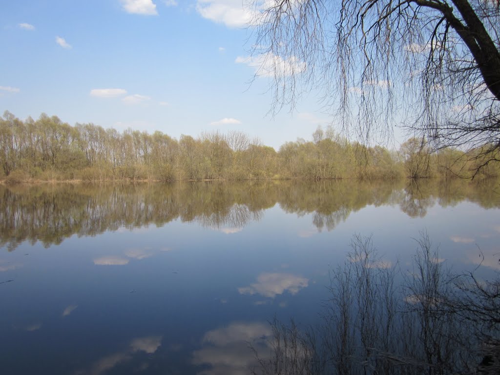 Desna as it is in the spring :), Новгород Северский