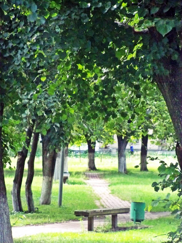 Центральный парк, Сосница