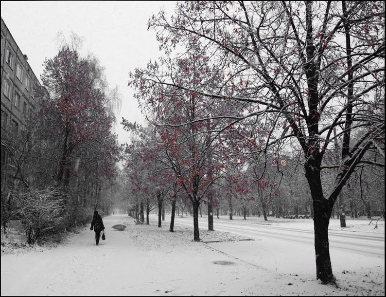 First snow, Чернигов