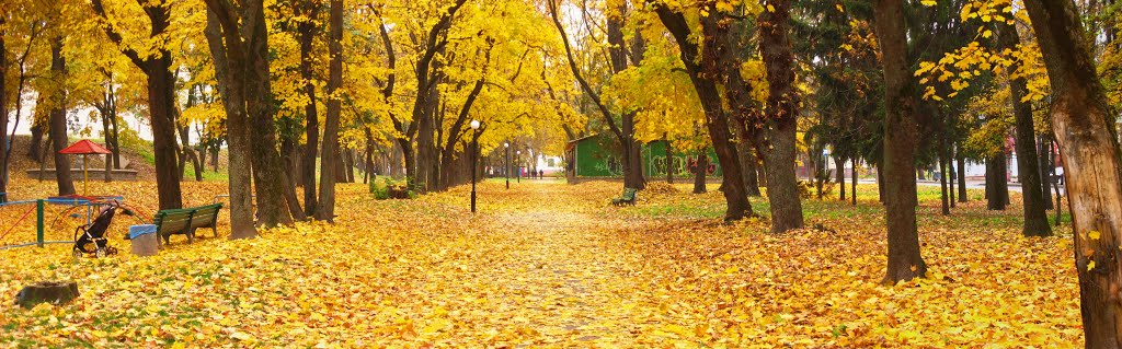 Золотая осень, Чернигов