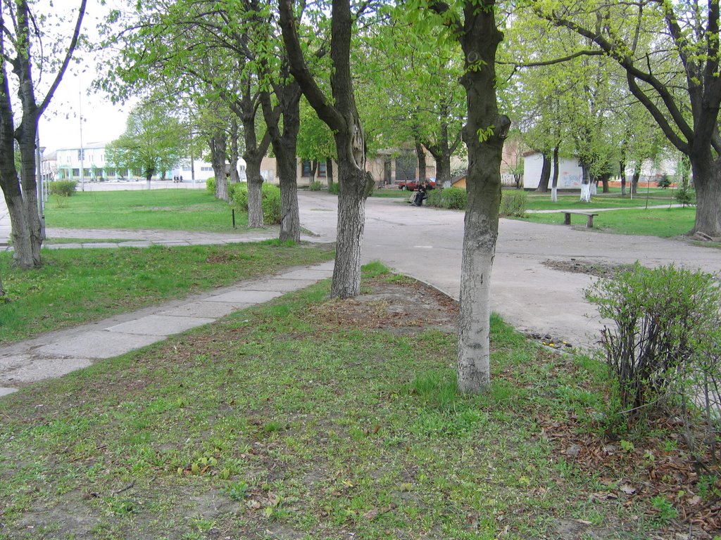 Парк в центре города, Щорс
