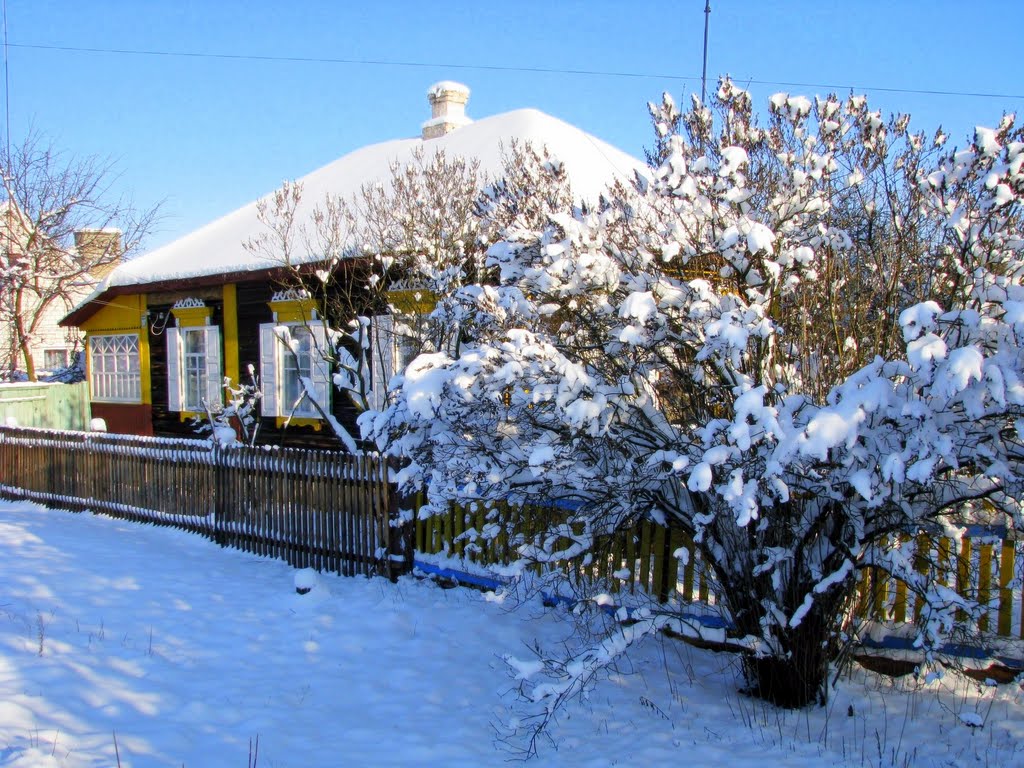 домик зимой, Щорс
