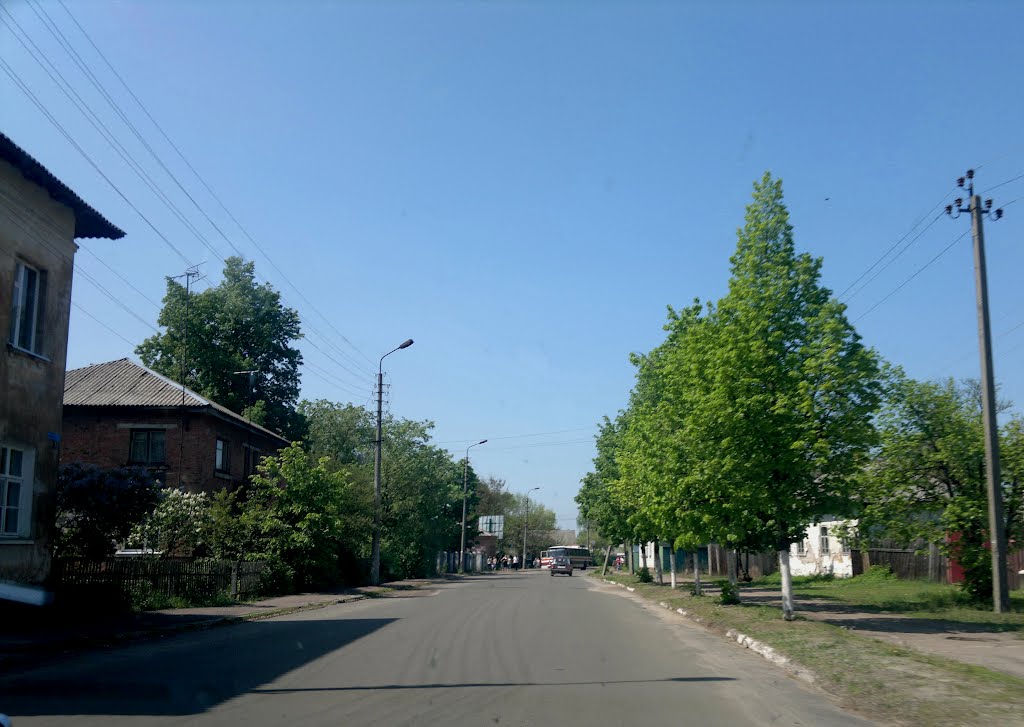 street-5, Щорс