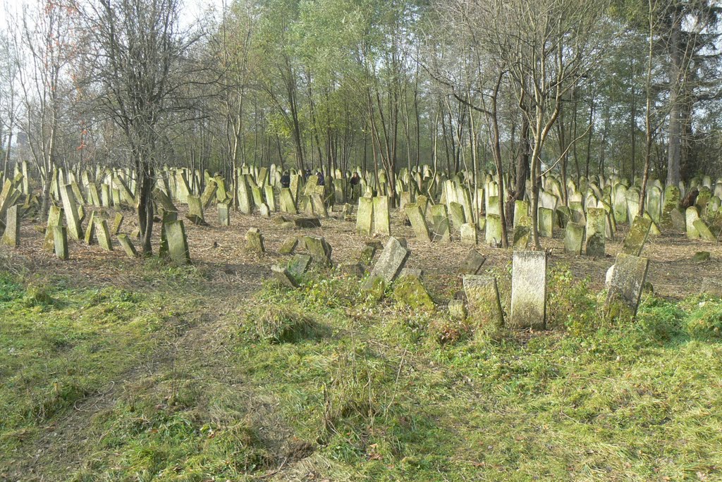 Jewish cemetery in Vashkivtsi, Вашковцы