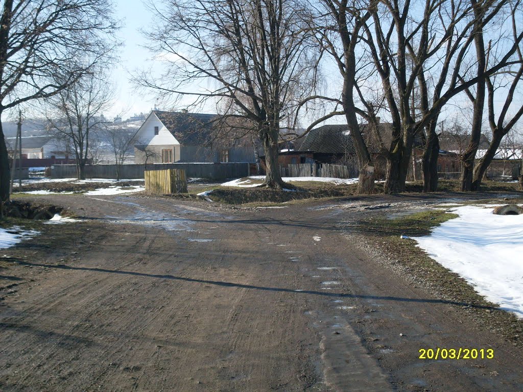 ул.Полевая март 2013, Вашковцы