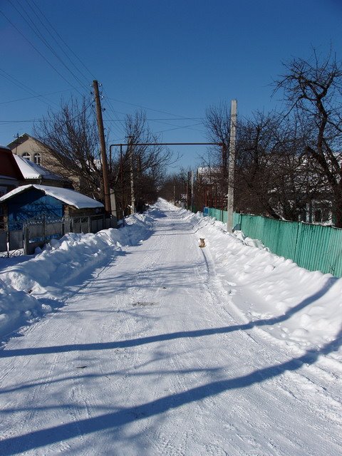Зима на моей улице, Сокиряны