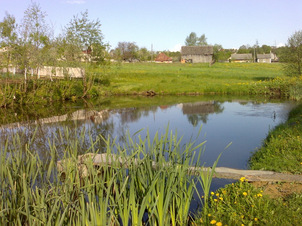 Маленьке озерце на краю міста, Сторожинец