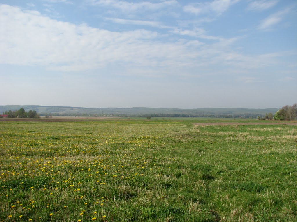 Field, Сторожинец