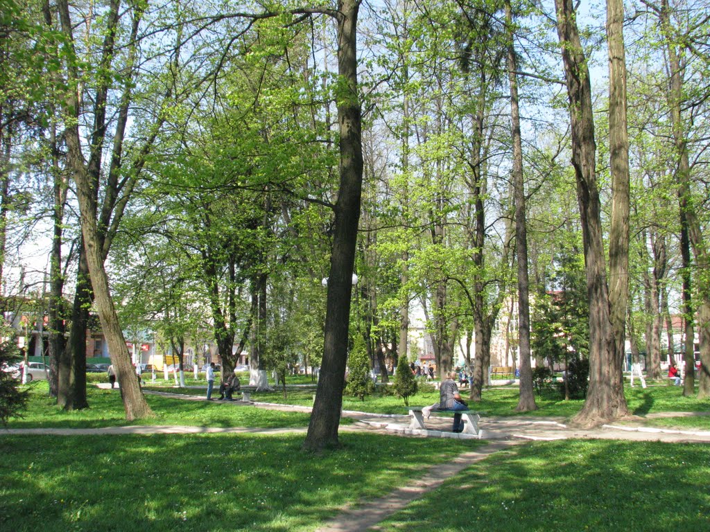 Park in Storozhynets, Сторожинец