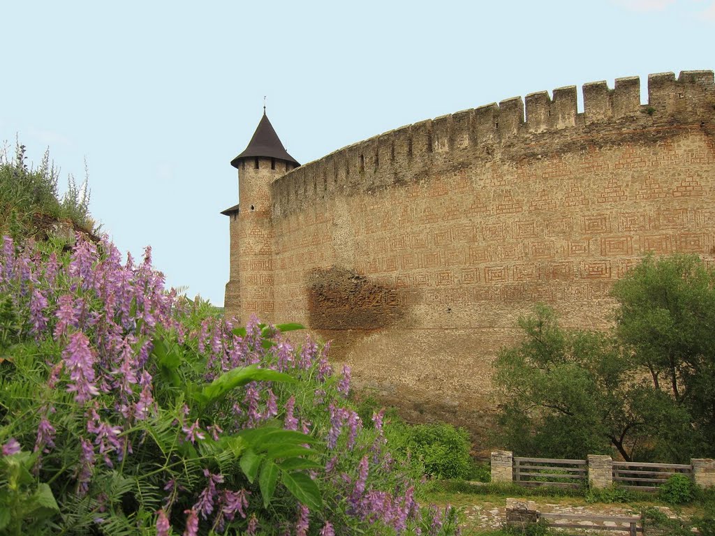 Хотинська фортеця (XIII - XVIII ст.) / Khotyn. Castles-Fortress., Хотин