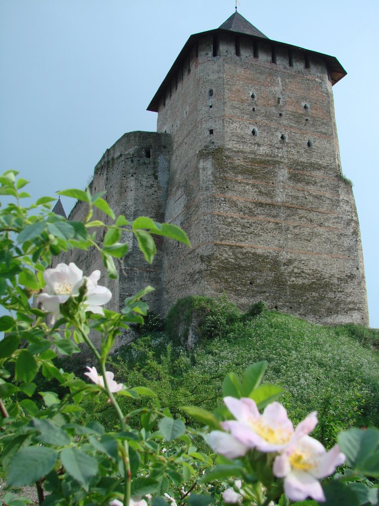 Khotyn Fortress - View from Dnister, Хотин