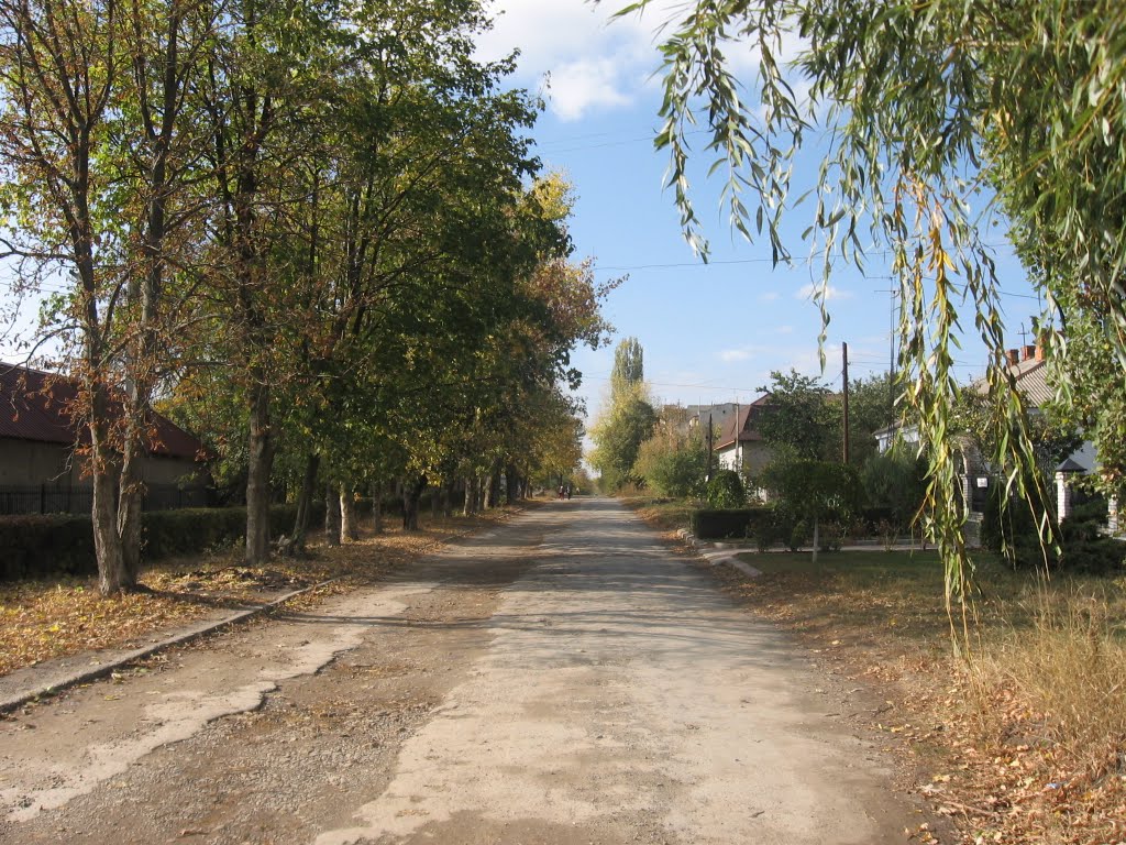 autumn street, Хотин