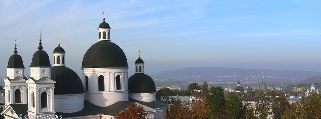 Four Churchs, Черновцы