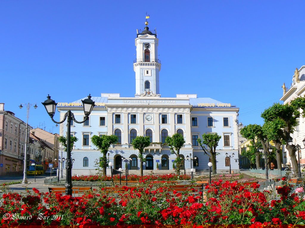 City hall (1848), Черновцы