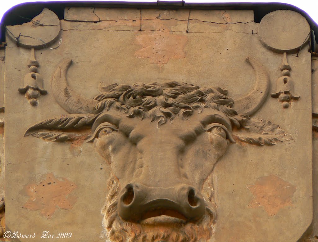 Head of a bull on the facade, Черновцы