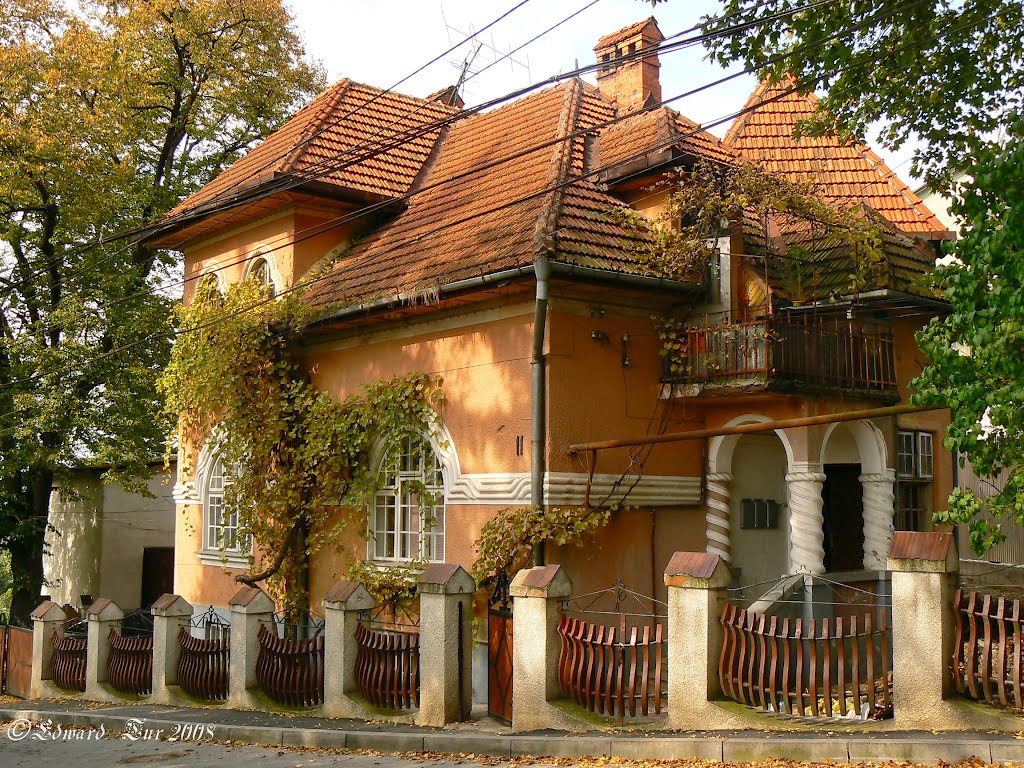 Matrosowa street, 11, Черновцы