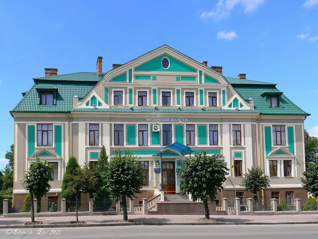 Medical College. Former asylum, Черновцы