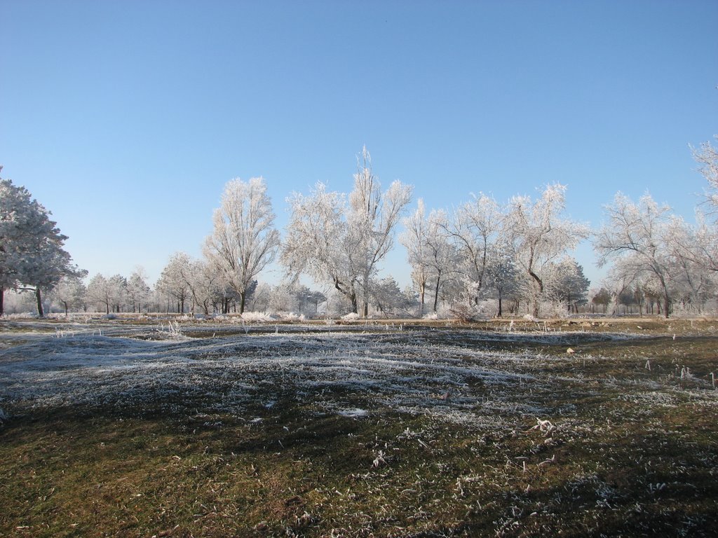 Winter in Armyansk, Армянск
