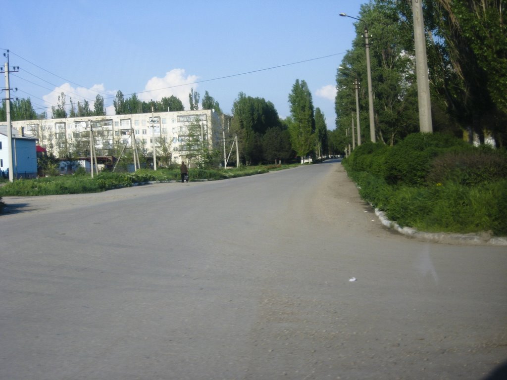 The Road from the Karkinitsky Bay, Армянск