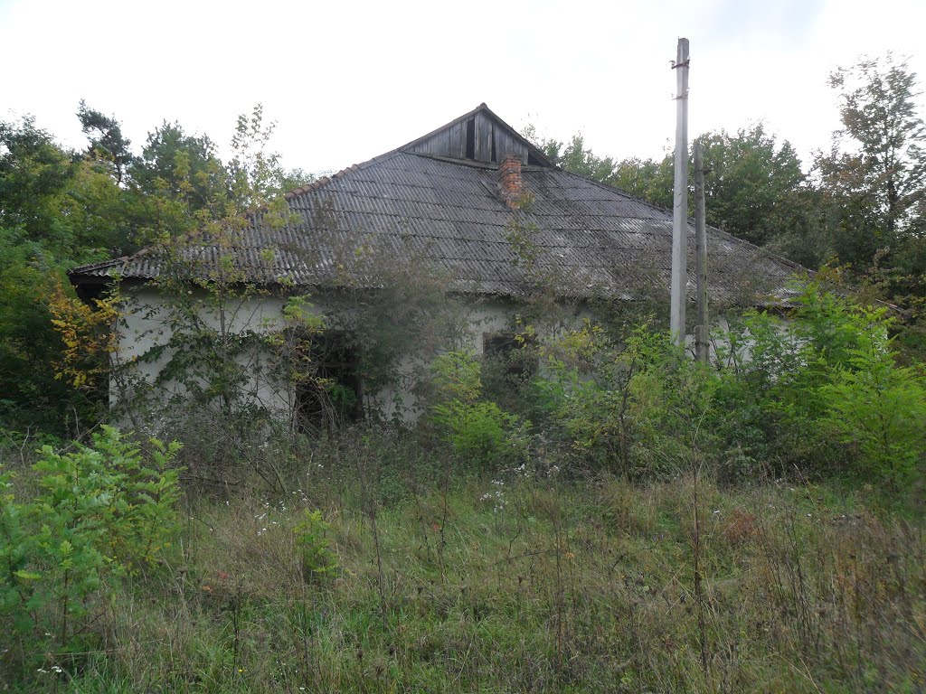 Заброшенный дом около жд. станции Хоросница / Abandoned house near the railway station Horosnitsa, Береговое