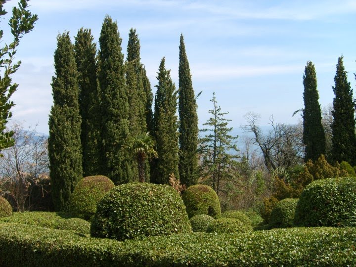 Yalta/Livadia sarayı bahçesi, Ливадия