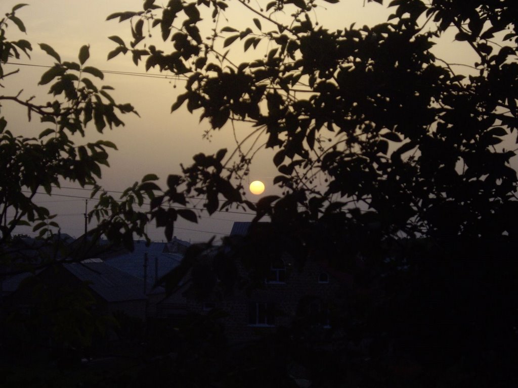 sunset of yellow star, Мисхор