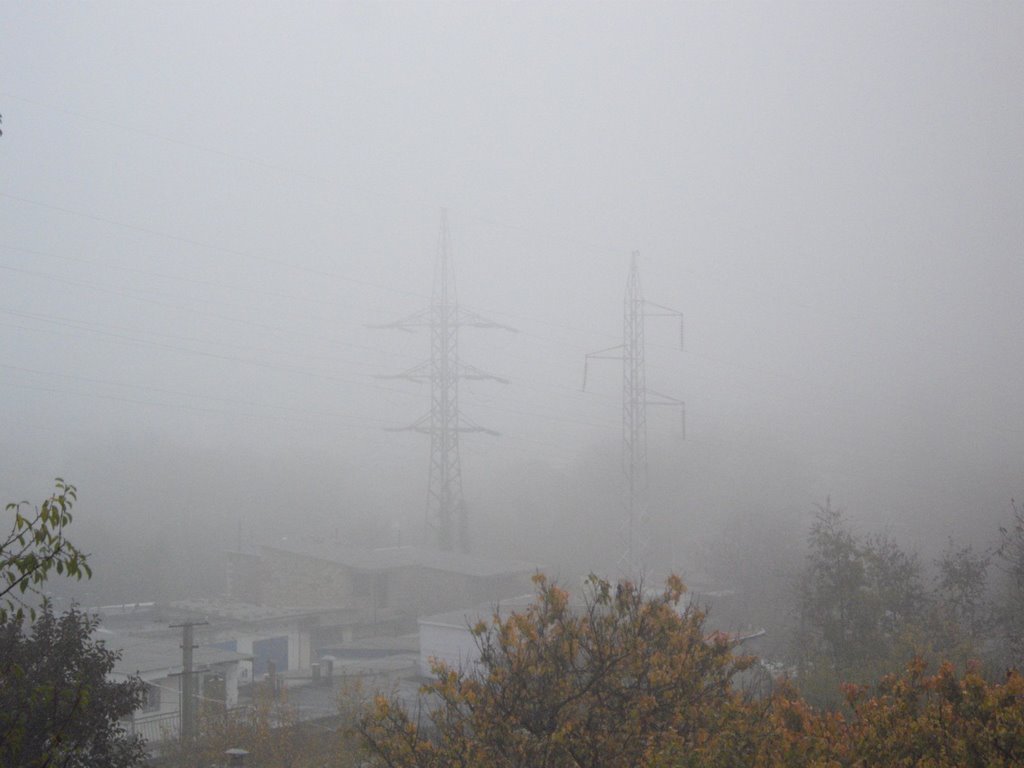 Fog, Мисхор