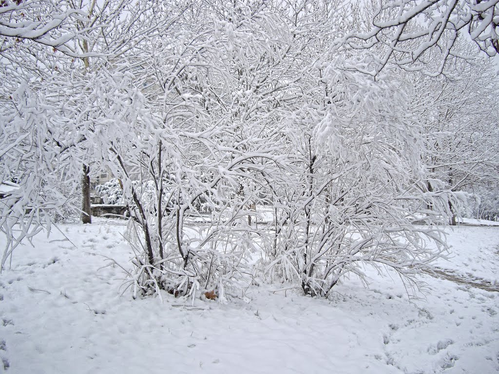 Снег у школы, Мисхор